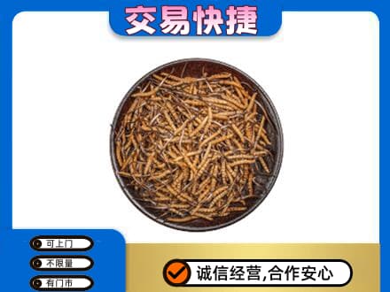 梅州高价回收散虫草